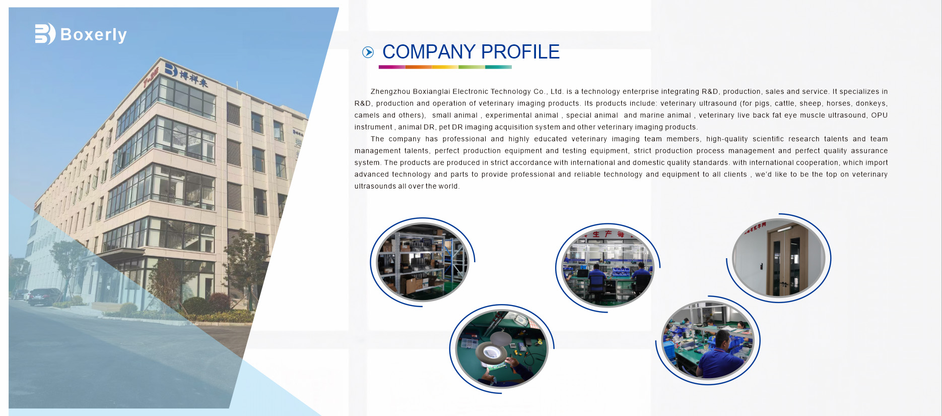 Company Profile