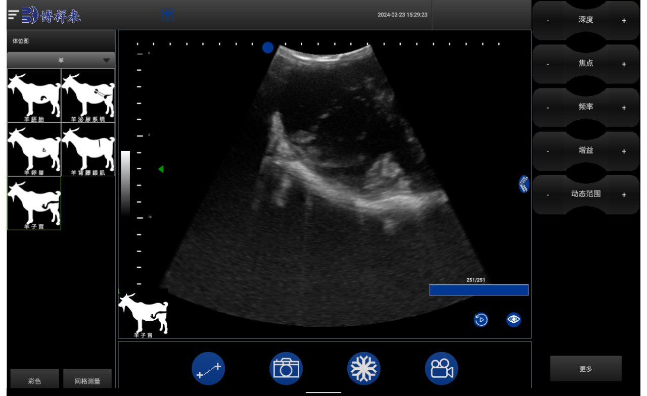 Sheep use B-ultrasound to examine breasts of lactating ewes-Boxianglai sheep use B-ultrasound(图2)