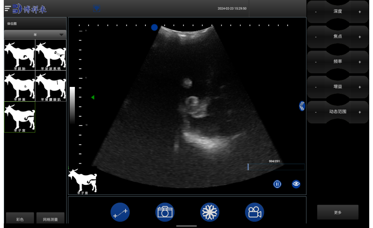 What are the characteristics of the veterinary B-ultrasound image acquisition system?(图1)