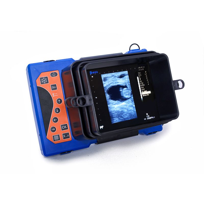 BXL-V50 Portable Veterinary Ultrasound Scanner