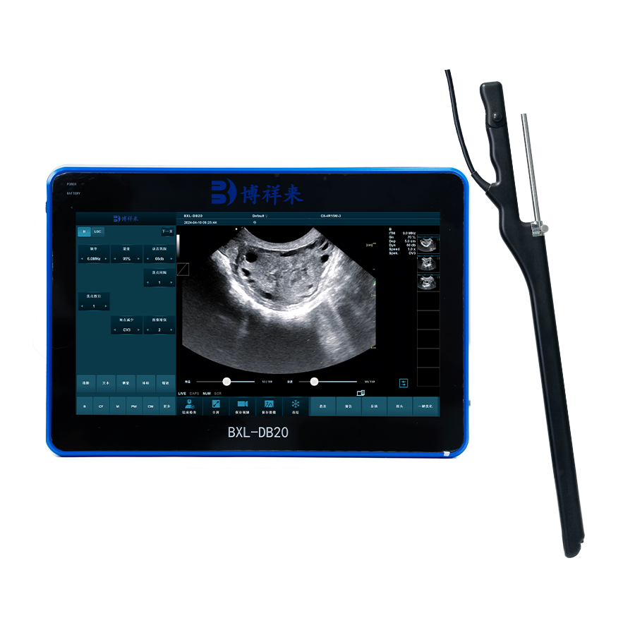 BXL-DB20 Veterinary ultrasound machine pdf