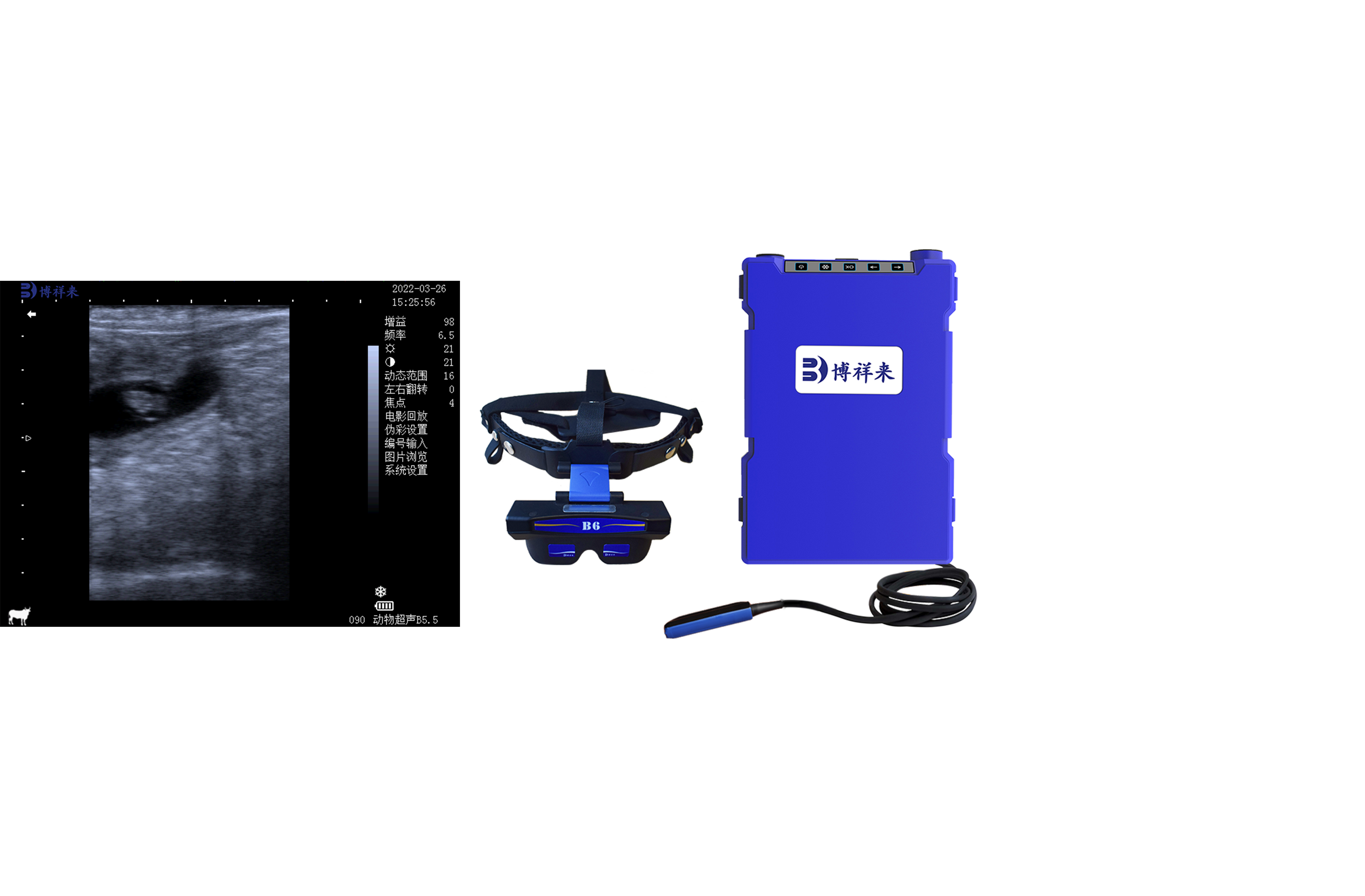 B-ultrasound for cattle to detect the image of prostaglandin on corpus luteum-Boxianglai B-ultrasoun