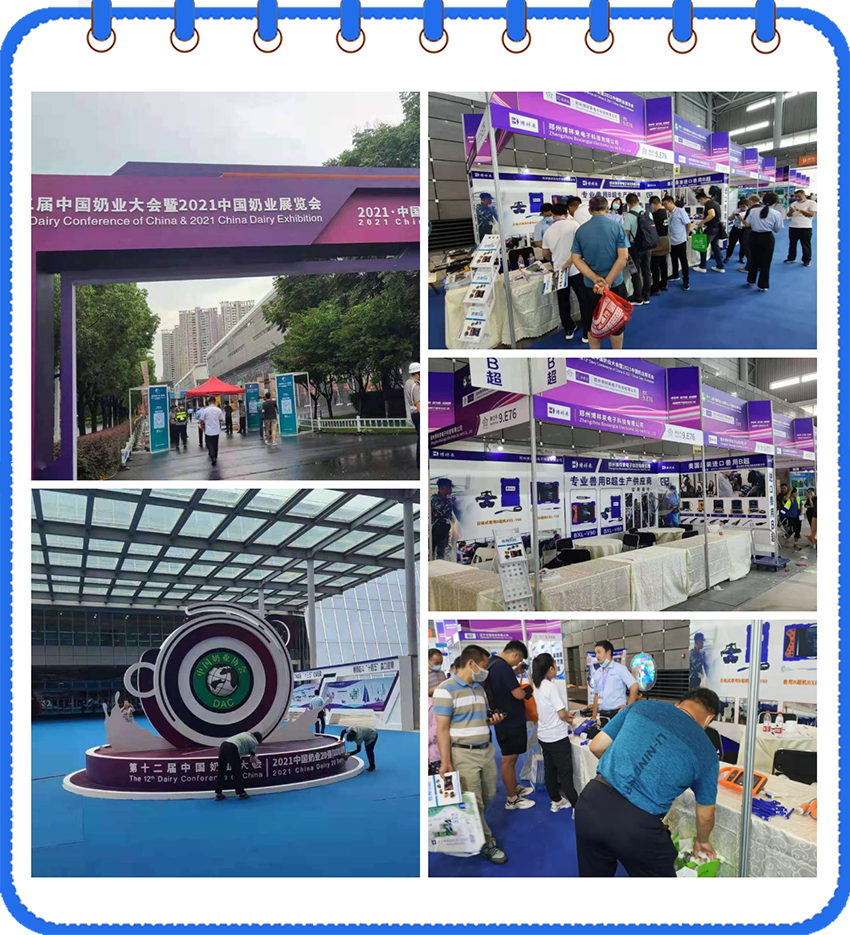 The 13th Dairy Conference Of China(图4)