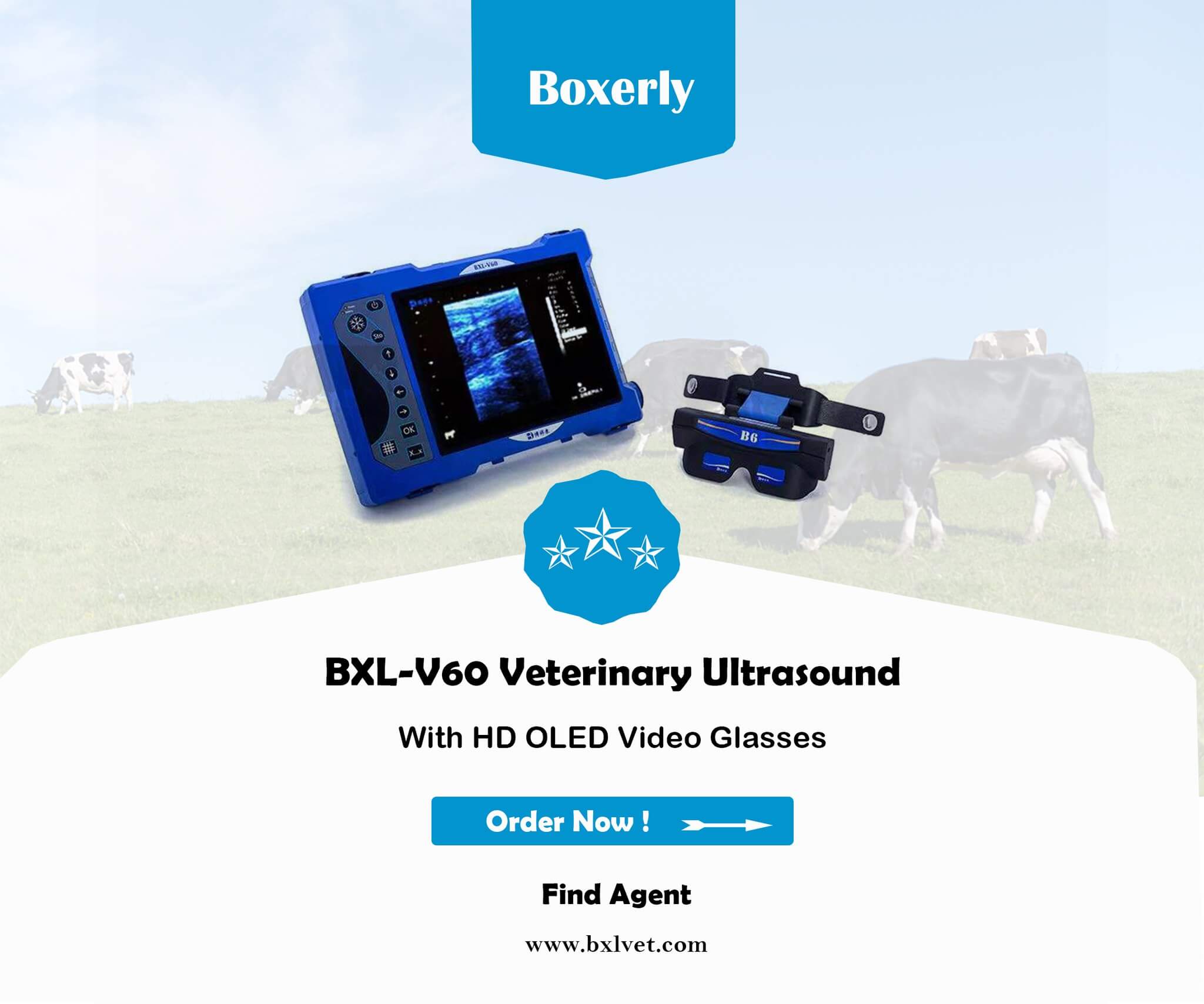 Operation steps of veterinary ultrasonic machine in cattle farm