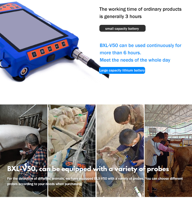 BXL-V50 Portable Veterinary Ultrasound Scanner(图6)