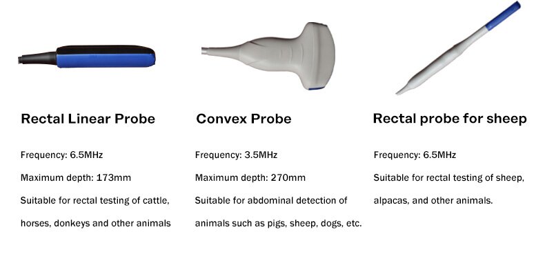 BXL-V50 Portable Veterinary Ultrasound Scanner(图7)