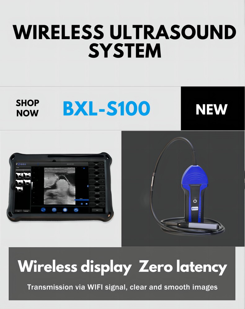 BXL-S100 Veterinary wireless ultrasonic instrument(图1)