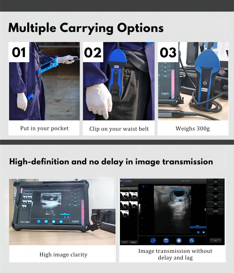 BXL-S100 Veterinary wireless ultrasonic instrument(图3)