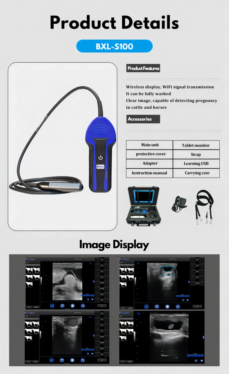 BXL-S100 Veterinary wireless ultrasonic instrument(图5)