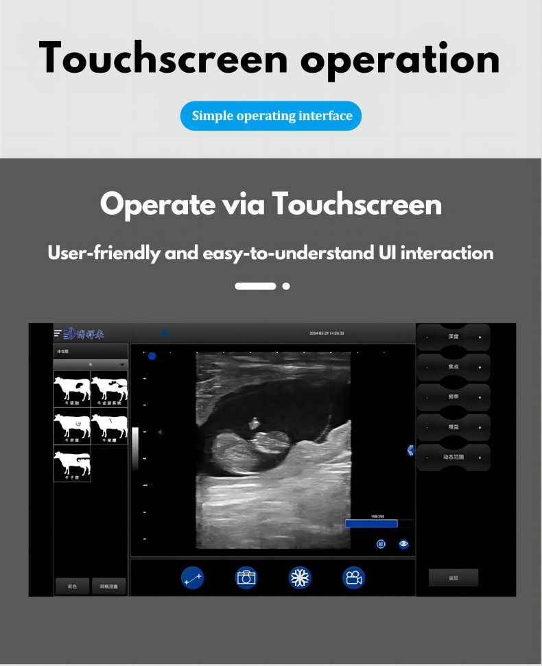 BXL-S100 Veterinary wireless ultrasonic instrument(图4)