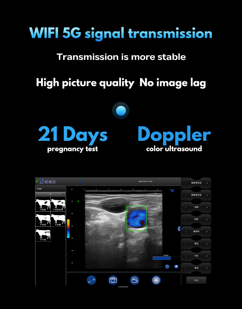 Wireless Portable Veterinary Doppler Ultrasound BXL S200(图3)