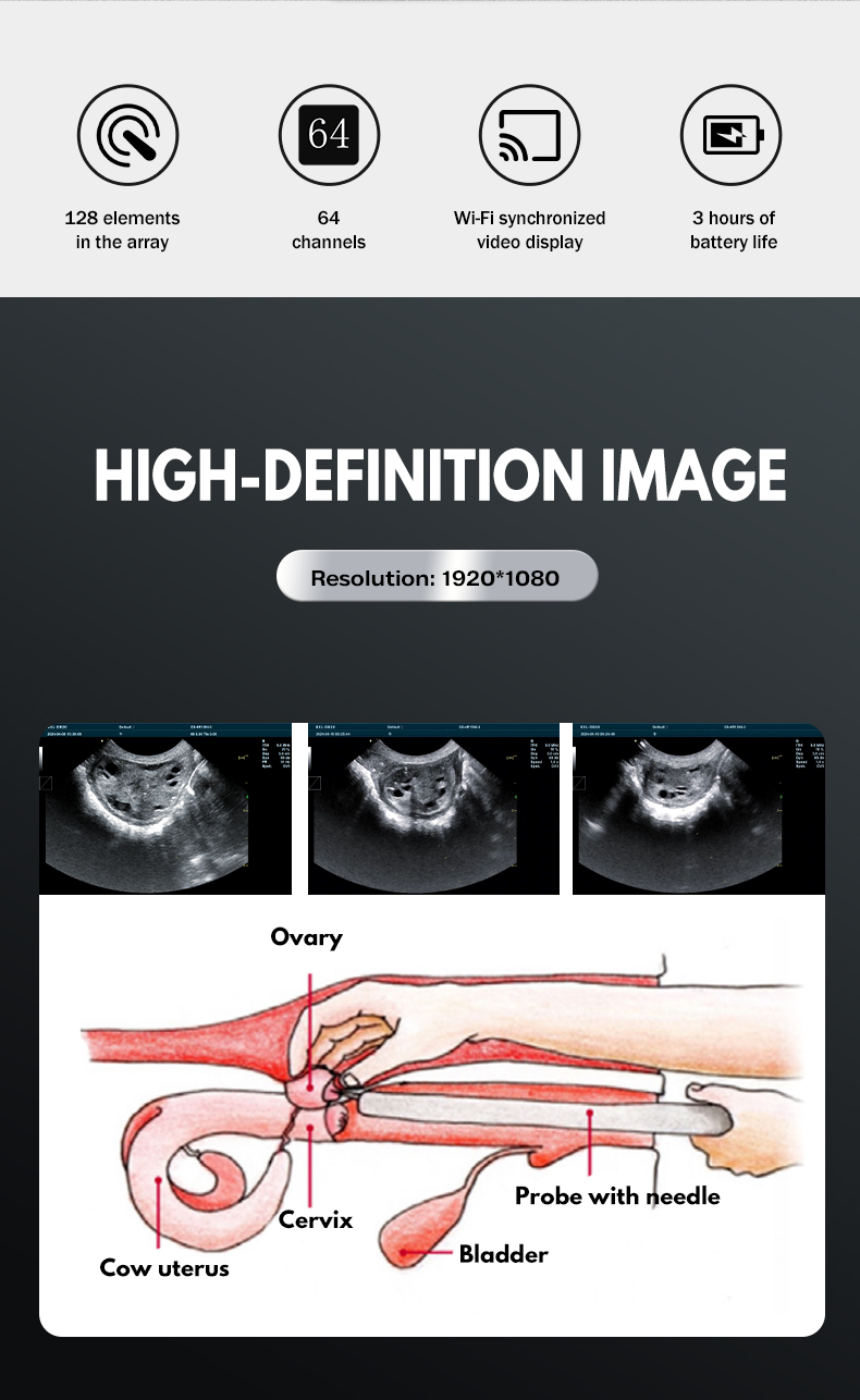 BXL-DB20 Veterinary Doppler Color OPU Ultrasound Equipment(图2)