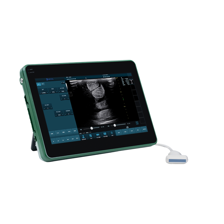 Three ways to prevent noise in veterinary B-ultrasound images