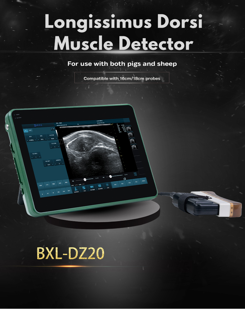 BXL-DZ20 Veterinary Color Doppler Ultrasound Diagnostic Instrument(图1)