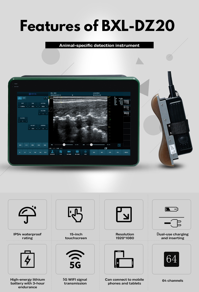 BXL-DZ20 Veterinary Color Doppler Ultrasound Diagnostic Instrument(图5)