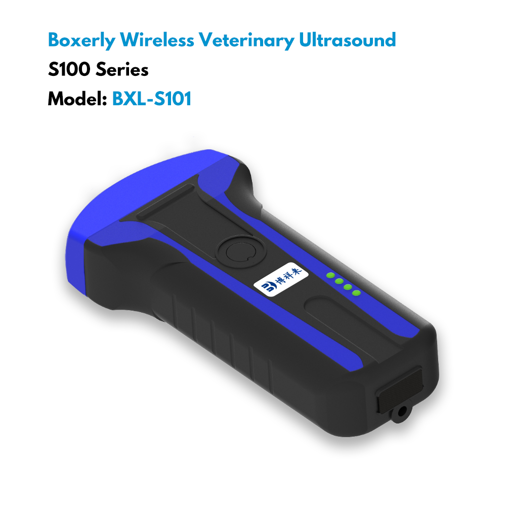 Interpolation Principle and Retrieval Technology in Veterinary B-ultrasound Images(图1)