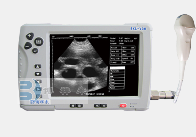 Veterinary B-ultrasound examination of the breast condition of female dogs when they refuse to feed