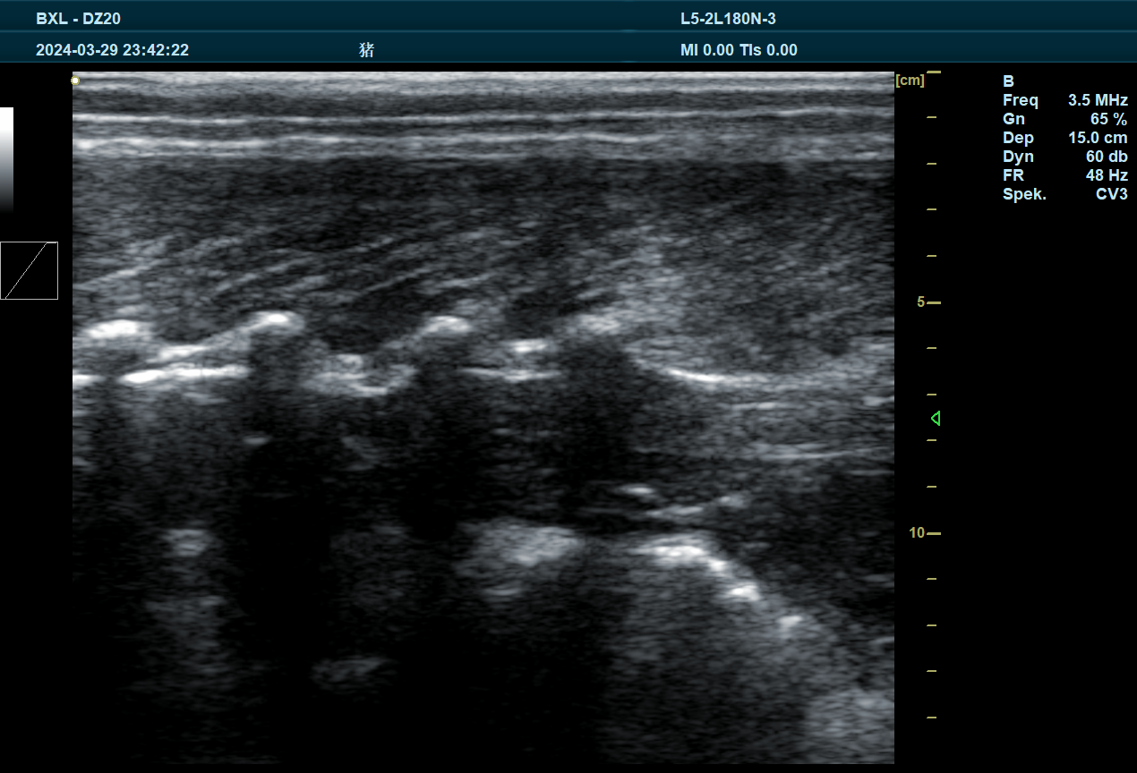 Texture features and grayscale histogram extraction method of veterinary B-ultrasound images(图1)