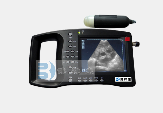 Pigs were examined with B ultrasound for the perinatal status of sows