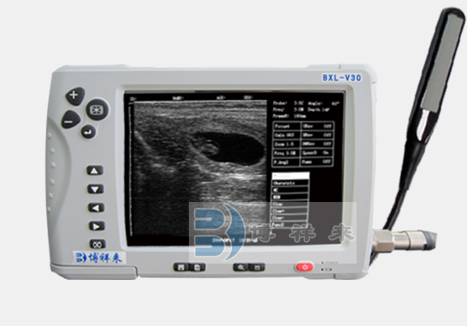 The basic process of cow estrus examination by B-ultrasound