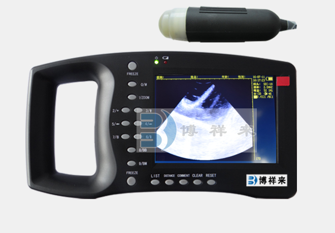 The difference between animal B ultrasonography and animal color ultrasonography in image(图1)