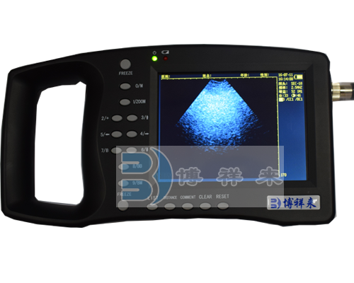 The number of ovulation of sows before breeding was observed by B-ultrasound(图1)