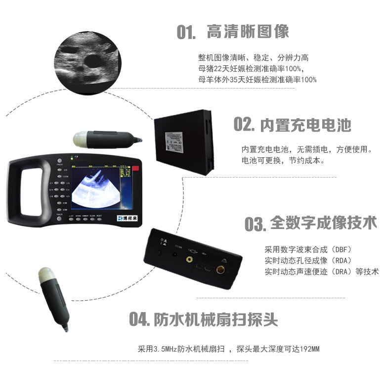 Preventive examination of sheep diarrheal disease by B-ultrasonography(图1)