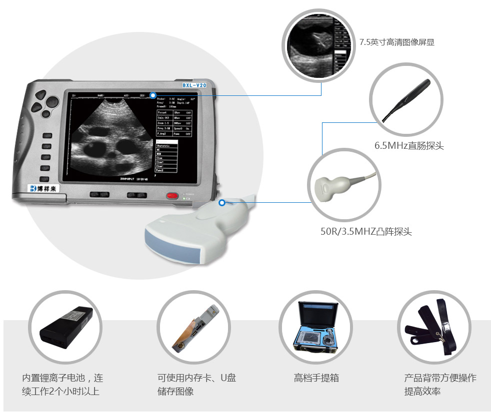 Investigation of factors causing difficult delivery in female dogs using veterinary ultrasound