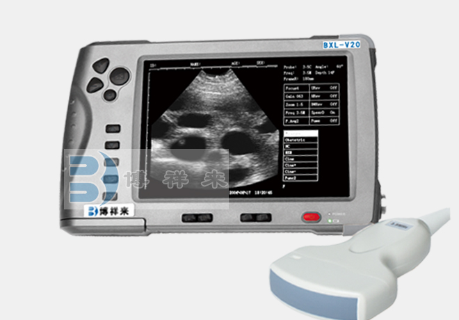 Veterinary B-ultrasound observation of the ovarian status of female dogs before and after artificial