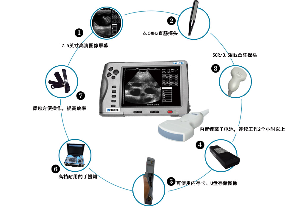 Important indicators for measuring the quality of veterinary B-ultrasound(图1)