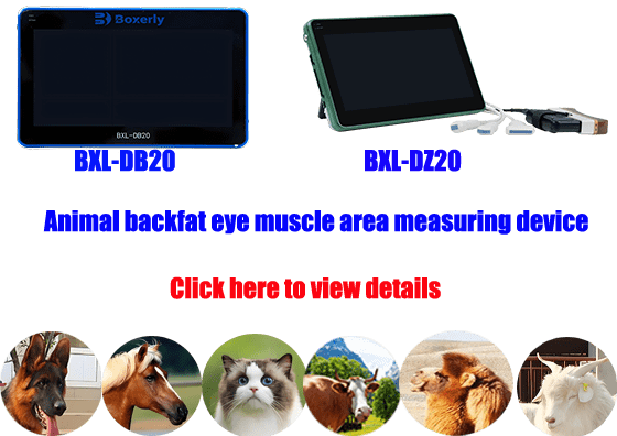 Animal backfat eye muscle area measuring device