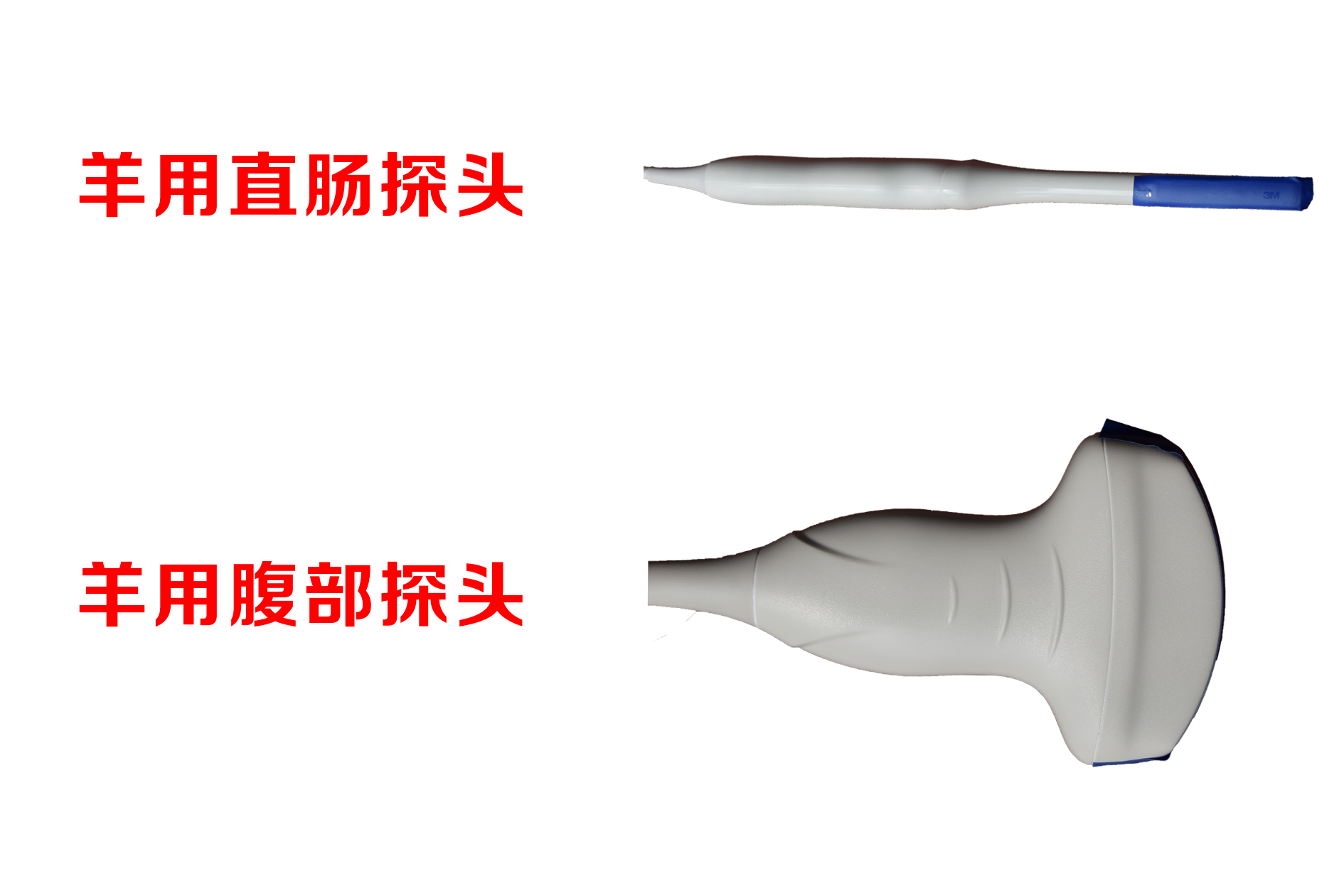 What are the differences between sheep and B-ultrasound machines?(图1)