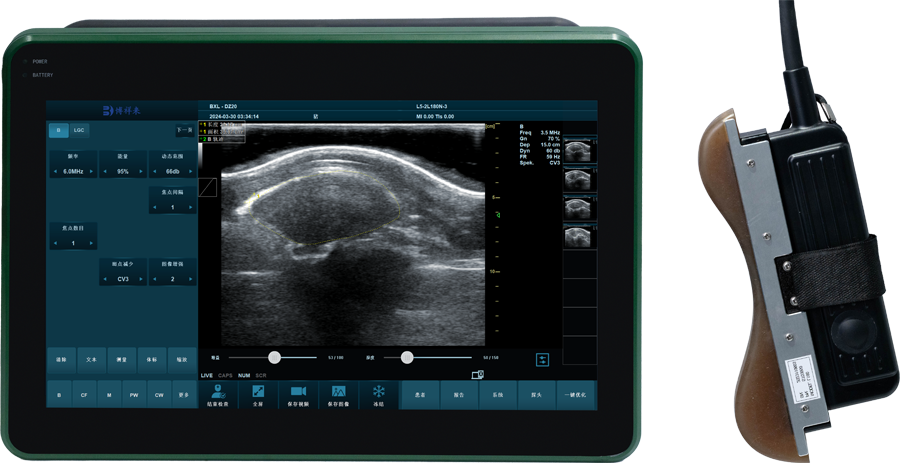 Using B-ultrasound technology to measure the backfat and eye muscle area of pigs