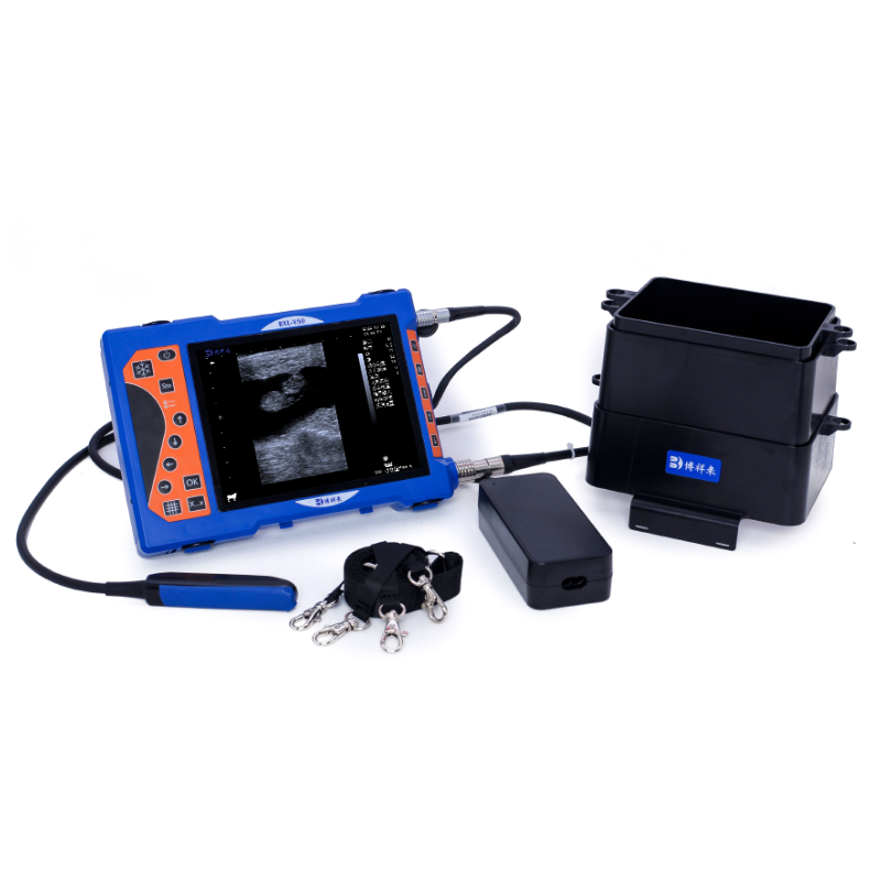 Animal B-ultrasound machine for abdominal ultrasound detection of horses