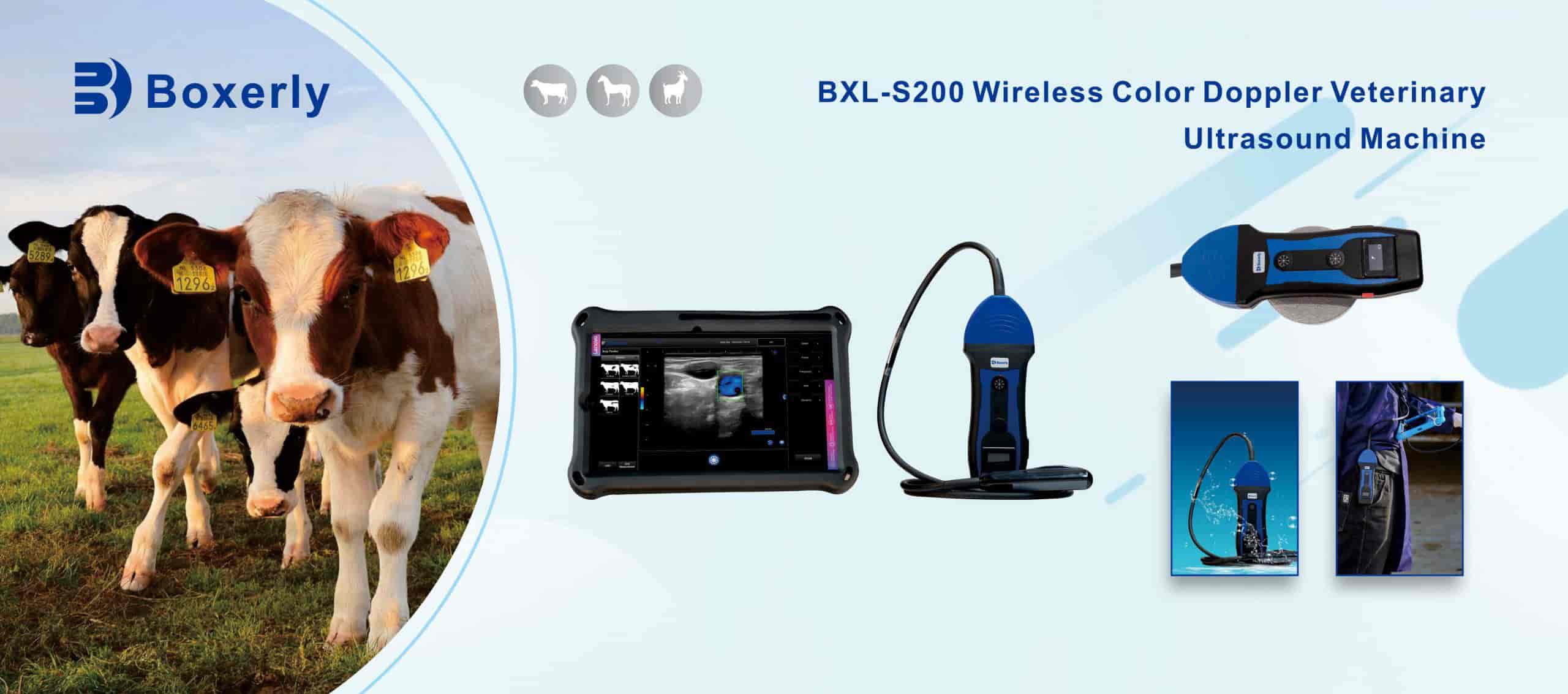 Wireless veterinary ultrasound equipment