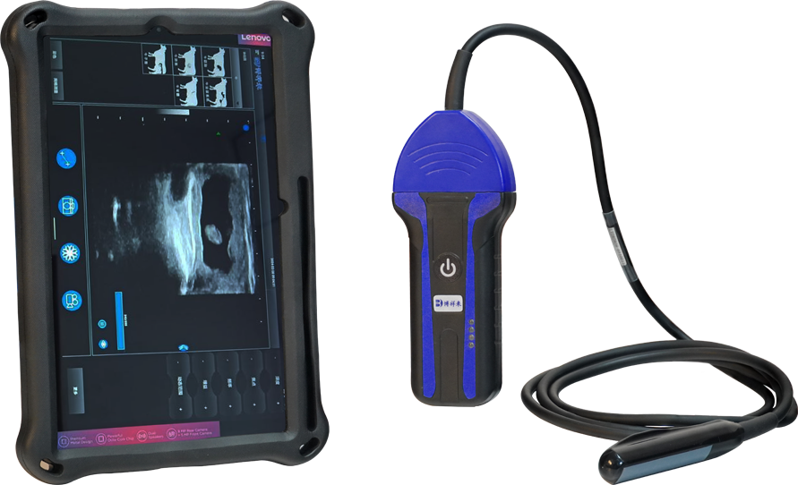 Boxiang comes to the manufacturers advantage in quality and price of animal B-ultrasound(图1)