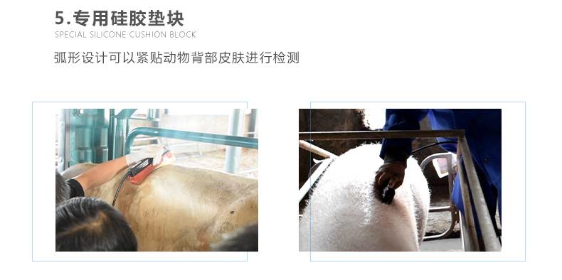 Backfat analyzer: a technological assistant in pig, cow, and sheep breeding(图1)