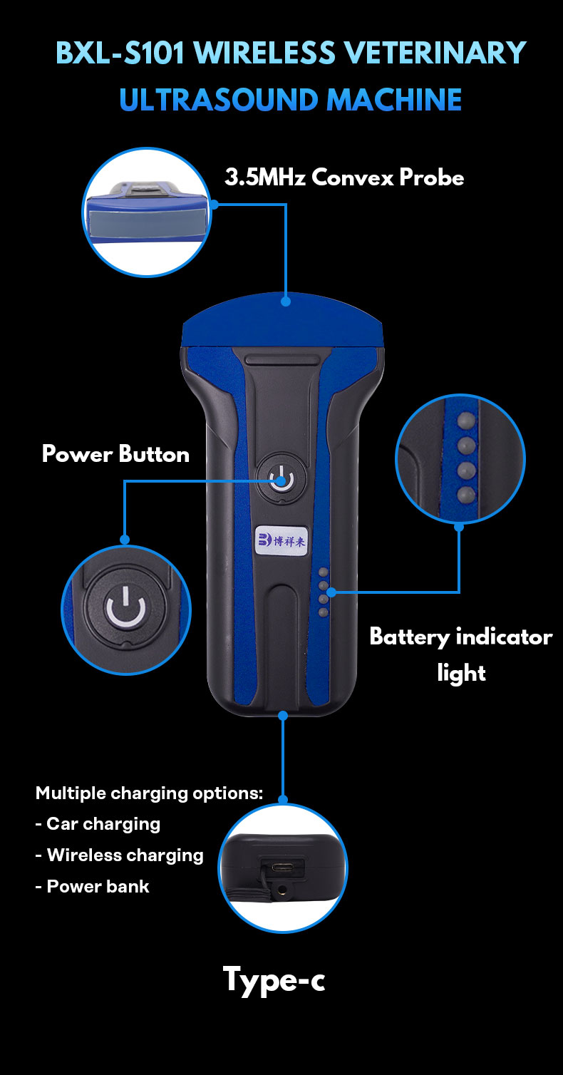 Wireless veterinary ultrasound machine BXL-s101(图5)