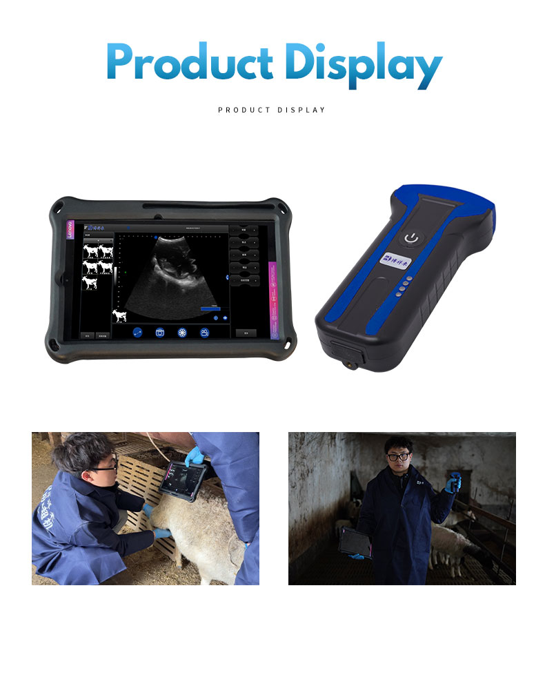 Wireless veterinary ultrasound machine BXL-s101(图4)