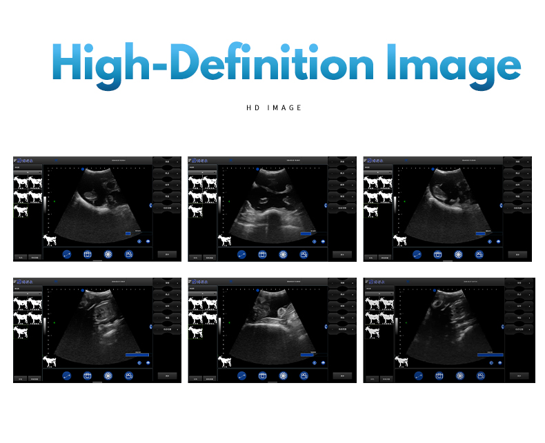 Wireless veterinary ultrasound machine BXL-s101(图6)