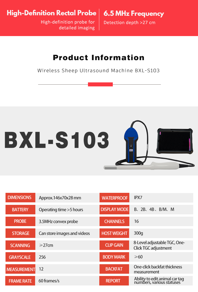 Wireless Ultrasound System For Sheep BXL-S103 lPX7(图3)