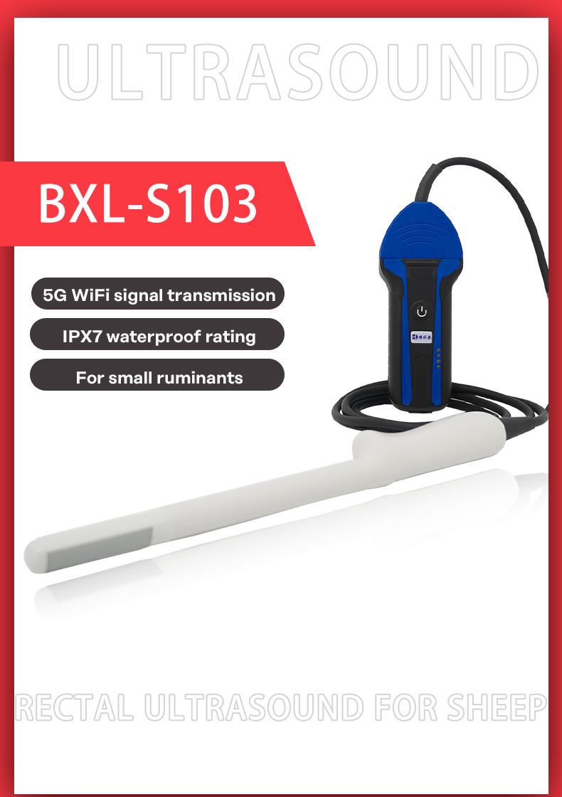 Wireless Ultrasound System For Sheep BXL-S103 lPX7(图1)