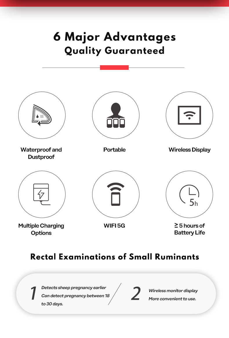 Wireless Ultrasound System For Sheep BXL-S103 lPX7(图2)