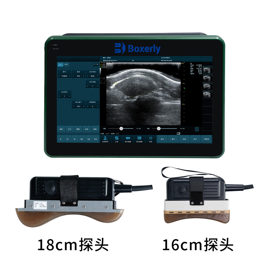 Application of animal B-ultrasound machine in canine reproduction and disease