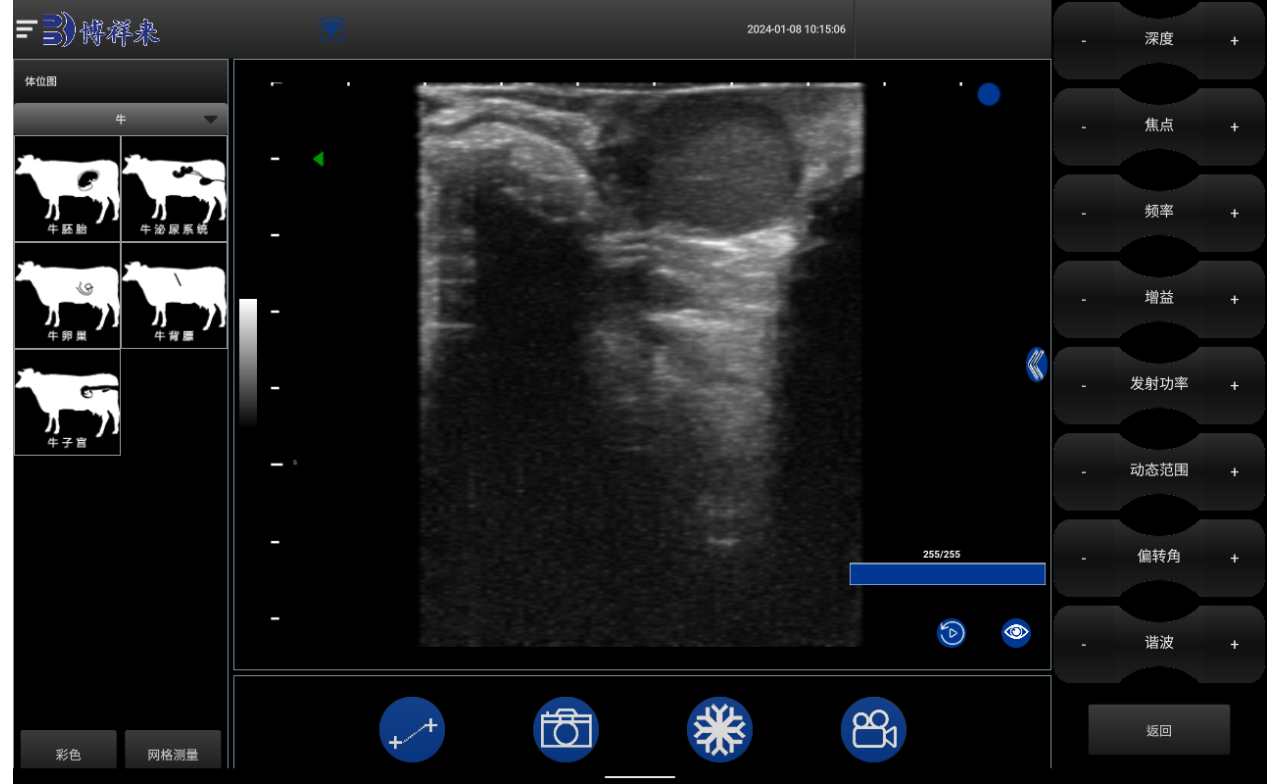 Cow Ultrasound Price for Sale