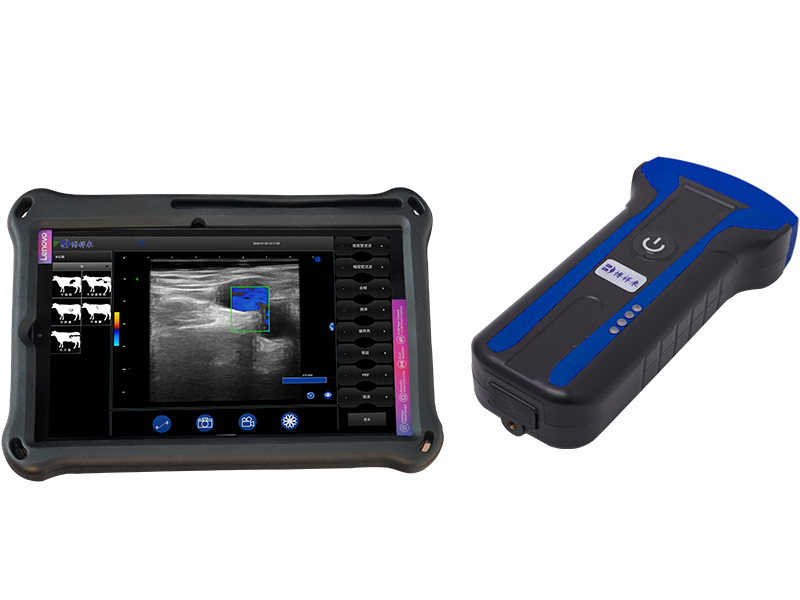 BXL Handheld Ultrasound Devices for Sheep Price