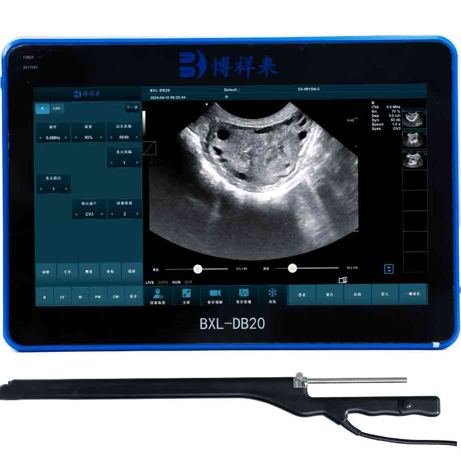 How to Use BXL Veterinary Live Egg Collection Ultrasound Instrument