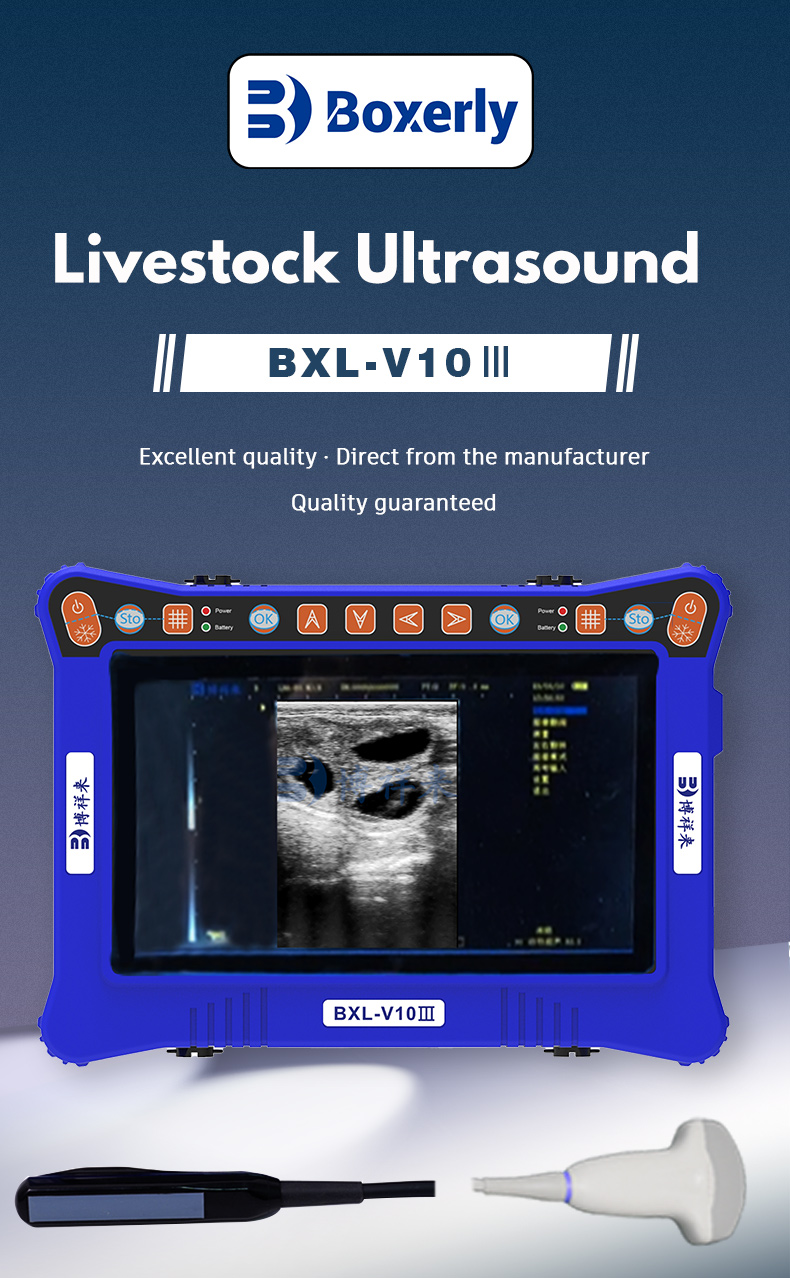 Portable USG Veterinary Ultrasound Machine BXL-V10Ⅲ(图1)