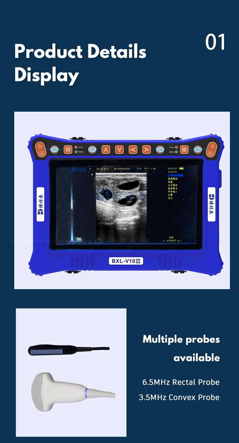 Portable USG Veterinary Ultrasound Machine BXL-V10Ⅲ(图5)