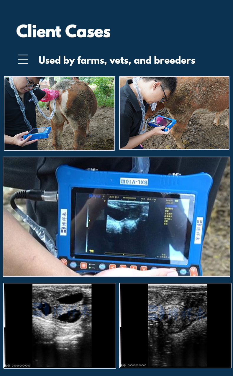 Portable USG Veterinary Ultrasound Machine BXL-V10Ⅲ(图8)